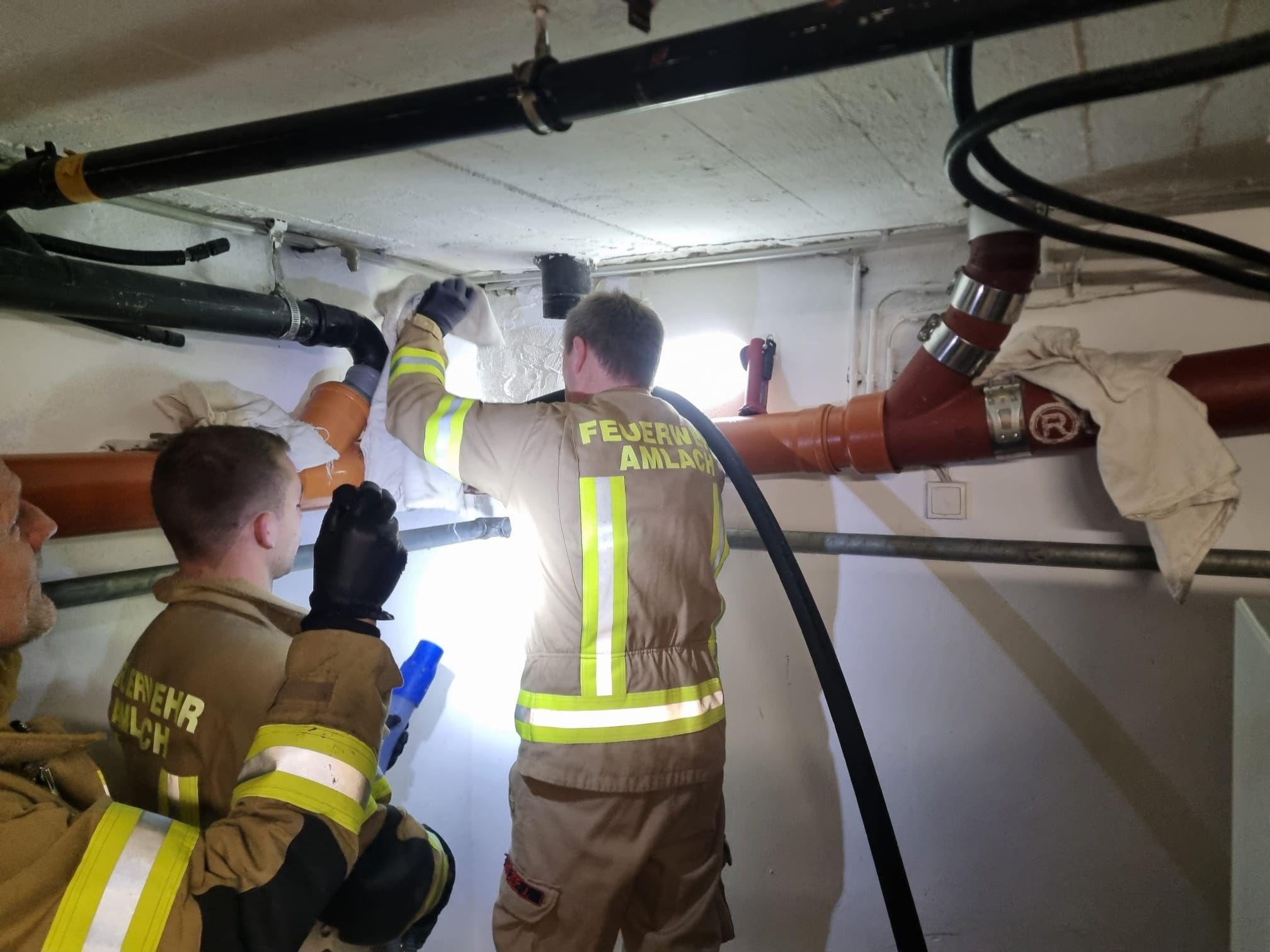 WhatsApp Image 2026-02-15 at 15.24.39 2.jpeg